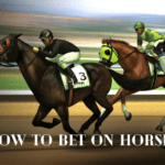 How to Bet on Horses