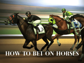 How to Bet on Horses