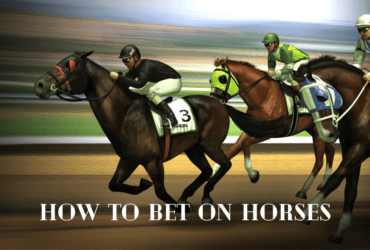 How to Bet on Horses