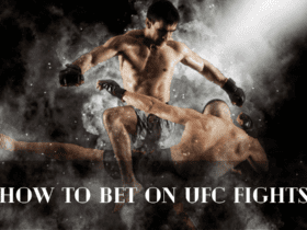 How to Bet on UFC Fights