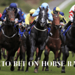 How to Bet on Horse Racing