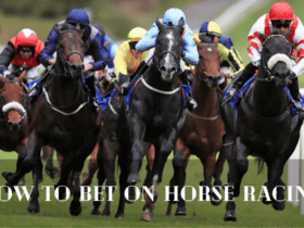 How to Bet on Horse Racing