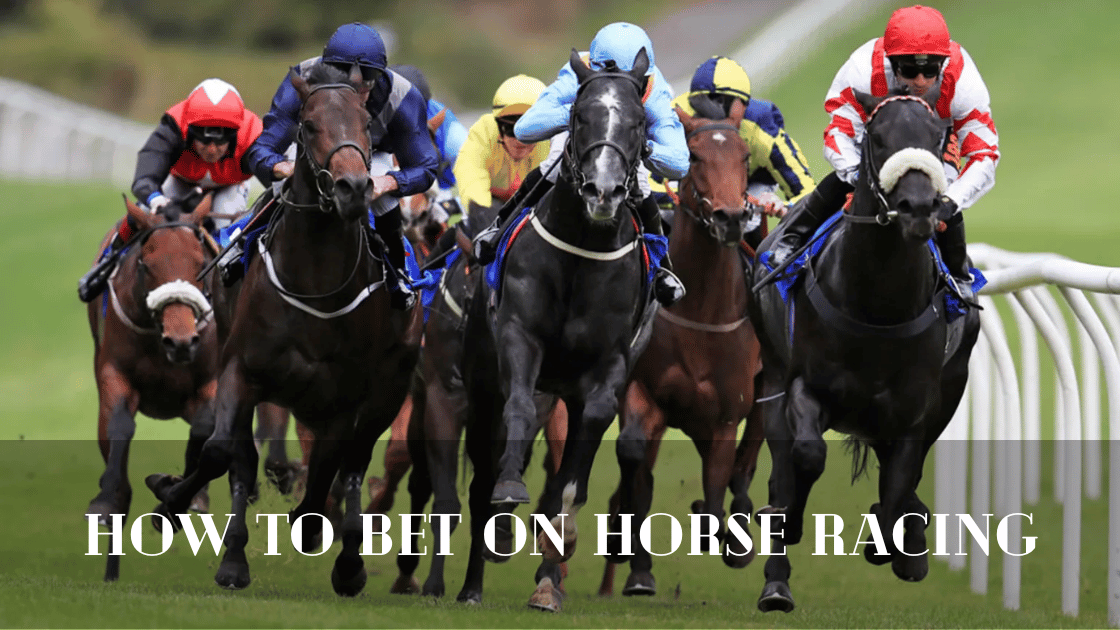 How to Bet on Horse Racing