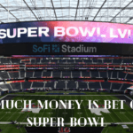 How Much Money is Bet on the Super Bowl