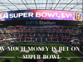 How Much Money is Bet on the Super Bowl