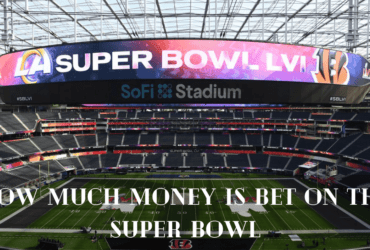 How Much Money is Bet on the Super Bowl