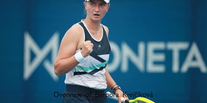 Overview of Barbora Krejčíková