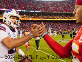 2024-25 NFL Playoff Odds Tracker