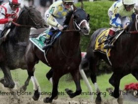 Different Horse Racing Bets: Understanding All The Types