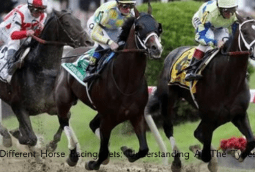 Different Horse Racing Bets: Understanding All The Types